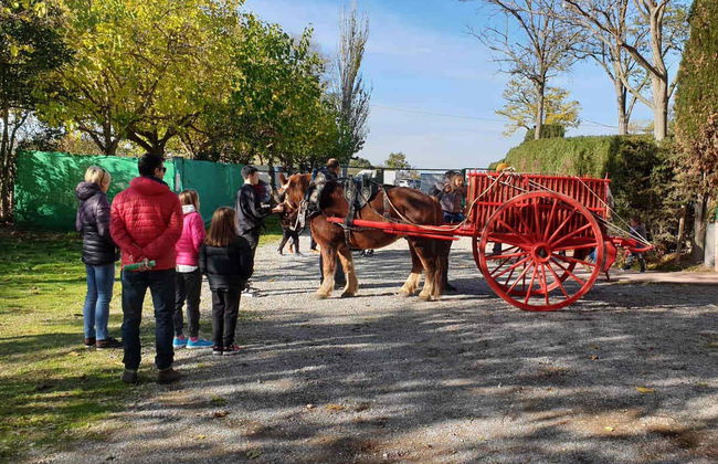 La Manreana Ticket - Photo 2