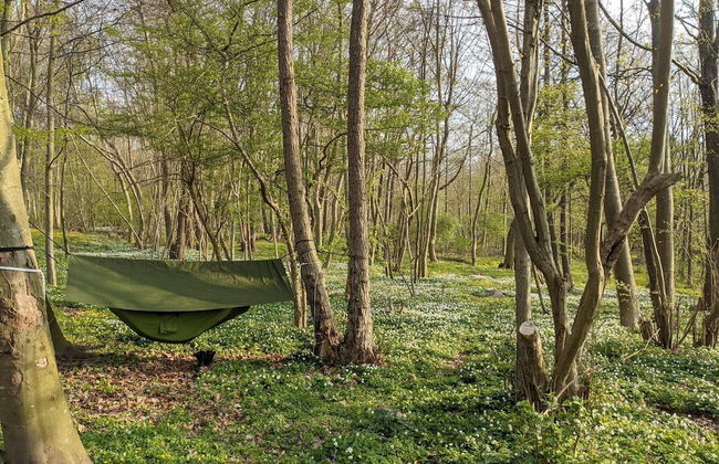 Luxury Retreat by the Sea - By Traum Ferienwohnungen - Foto 13