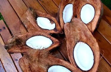 Unique Lava House by steaming crater - Photo 51