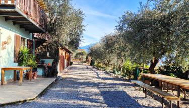 Agriturismo Scuderia Castello - Foto 5