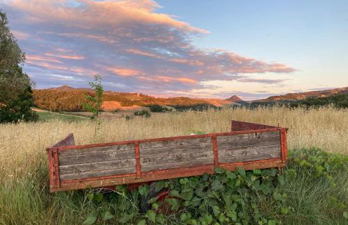 Le Gualchiere - Photo 46