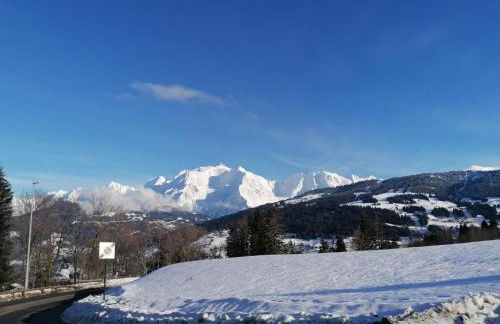 chalet Mont-Blanc - Foto 45