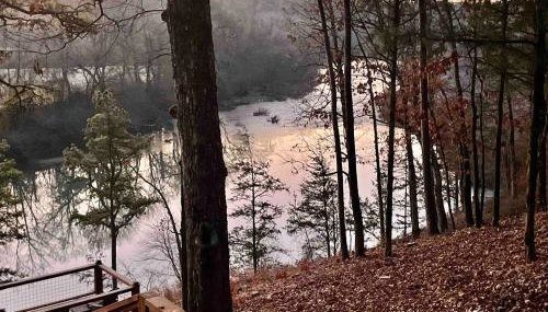 Just the Two of Us RIVER FRONT Luxury Cabin - Foto 5