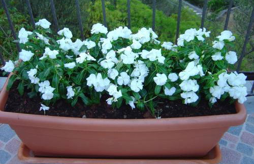 La Finestra sulle Eolie - Foto 80