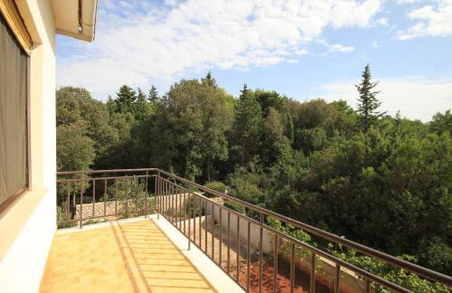 Apartments with parking space Ugljan - 8493 - Foto 28