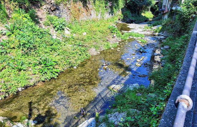 Comfy and Quiet in Camogli - Foto 21
