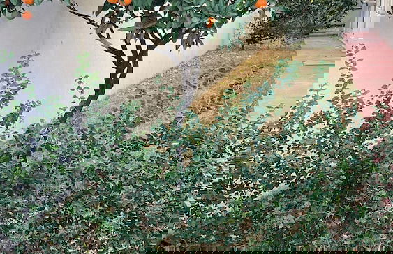 ABC APART HOTEL - Photo 62