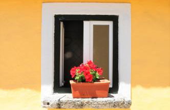 Quinta Da Cabrita - Foto 12