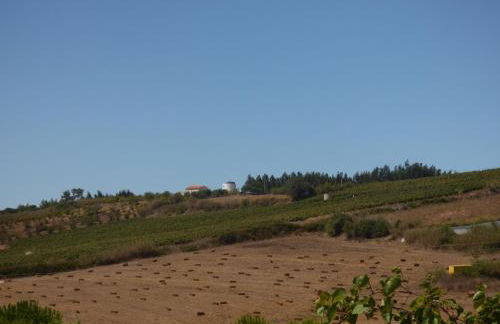 Meu Moinho - Foto 15