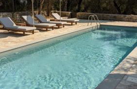 The "M" House - Photo 4