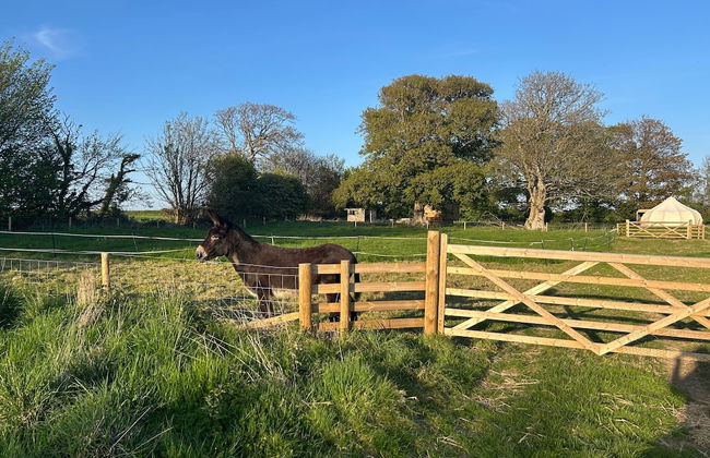 Beautiful Bell Tent Stay - Foto 18