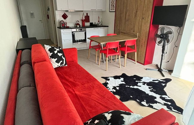 Grape Place With Washing Machine - Foto 6