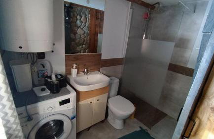 Podlaskie Żuczki - Foto 10