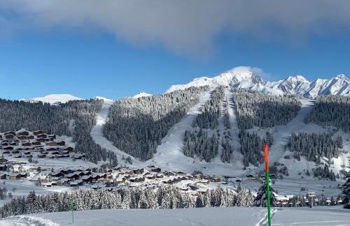 APPARTEMENT COSY AUX SAISIES n1 - Foto 18