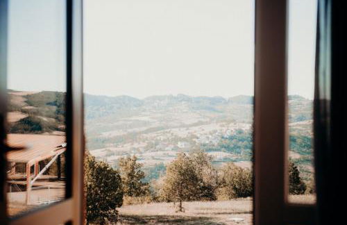 Azienda Agricola Saint Hubert - Foto 57