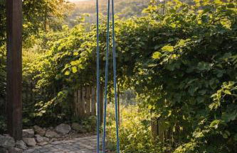 Lipowy zakątek - Foto 9