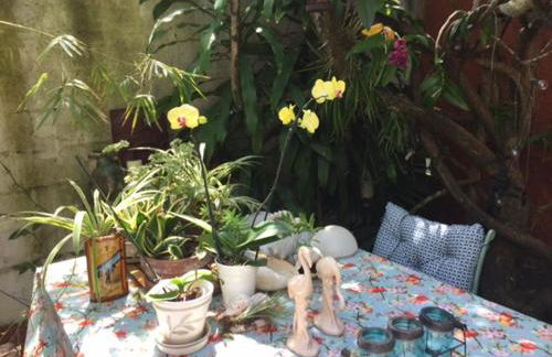 The Wild Rose - Foto 4