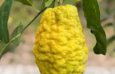 Villa Gianna 3 - Foto 12