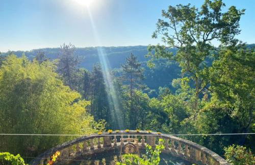 Exceptional XVIICastle in Dordogne Golden Triangle - Foto 6