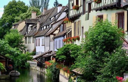 Chez Diane Colmar - Foto 21