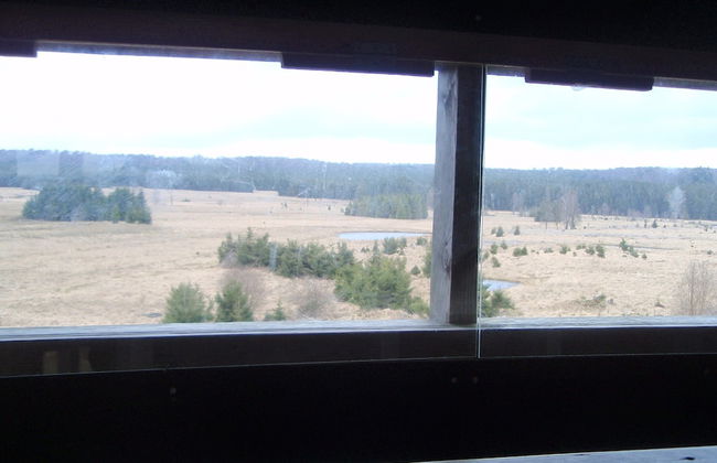 Apartment in Champlon Ardenne - Photo 39