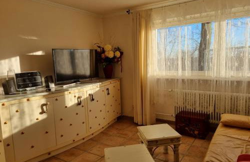 Ferienhaus Vogelsbergblick, Fernblick, Sauna, Kamin, 1700m eingezäunt in Alleinlage - Foto 52