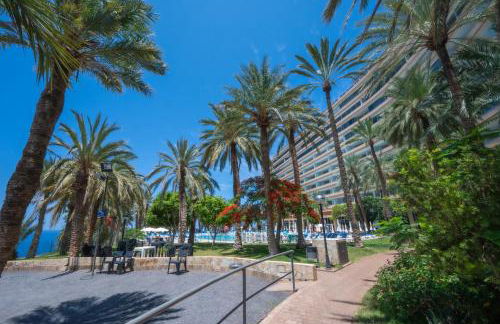 Seagulls melody C-209 - Foto 25