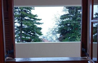 Golden Hearth Mountain Chalet - Photo 16