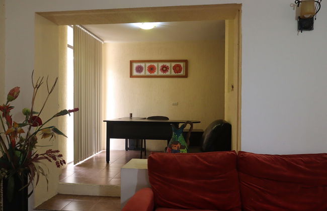 House of Ficus Banderilla,veracruz-mexico - Foto 42