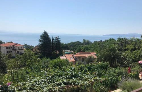 Apartman Elvis - Photo 23