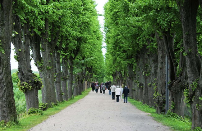 Cozy Apartment in Boltenhagen Germany Near the Beach - Foto 61