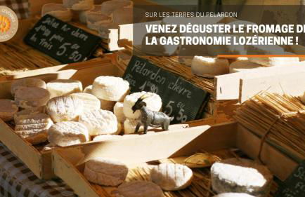 Alberguiere - Piscine chauffée - plancha - barbecue - Foto 37