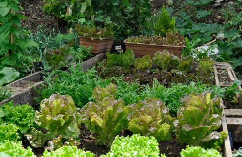 Refúgio Guest House - Foto 42