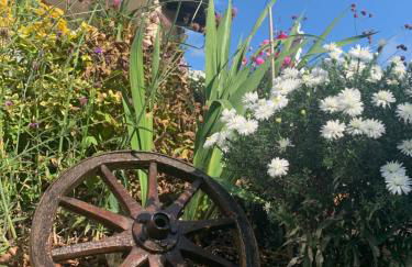 Sauerlandblick - Appartement & FeWo Wickede - Foto 21