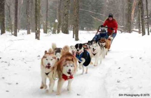 The Nook Lodge - cabin with hot tub at Shawnee and Camelback Mtn - Foto 32
