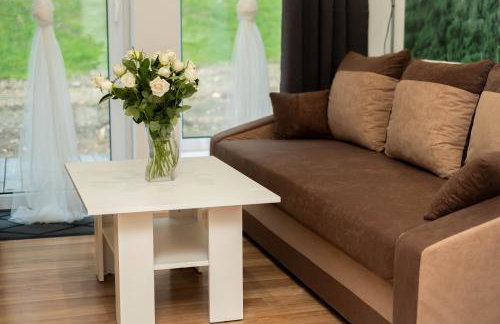 Apartamenty GoszóWita - Foto 6