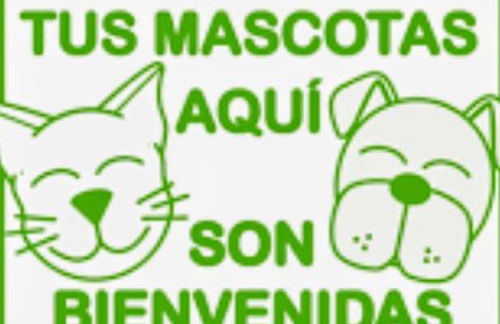 ruta dos faros Corme - Puerto Galicia playa - Foto 20