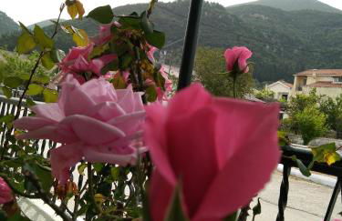 Nostalgia Apartment A in Sami 50 metres from the sea - Foto 71