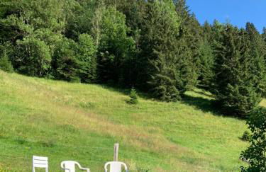 Gîtes Sous Les Loges - Mountain Apartments Lélex - Foto 49