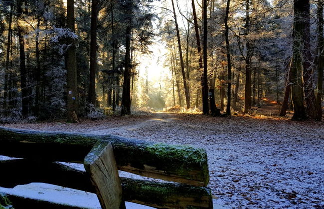 Ferieheisel - Everything, Except Usually! - Photo 18