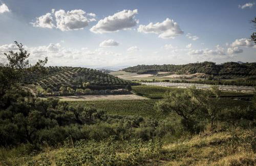 Agriturismo Il Giriatello - Foto 63