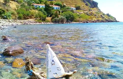 Enalion House - Photo 26