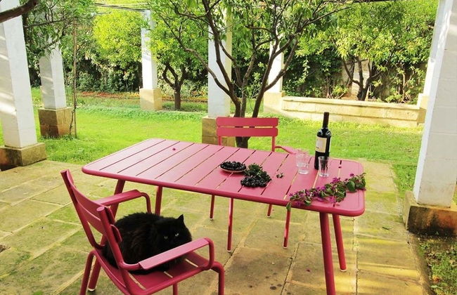 Masseria Gianferrante - Foto 22