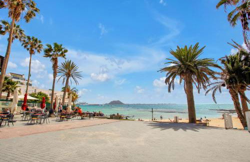 Silvic Serenada - Photo 28