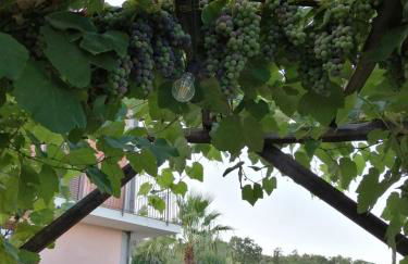 Villa Etna Masi' - Foto 48