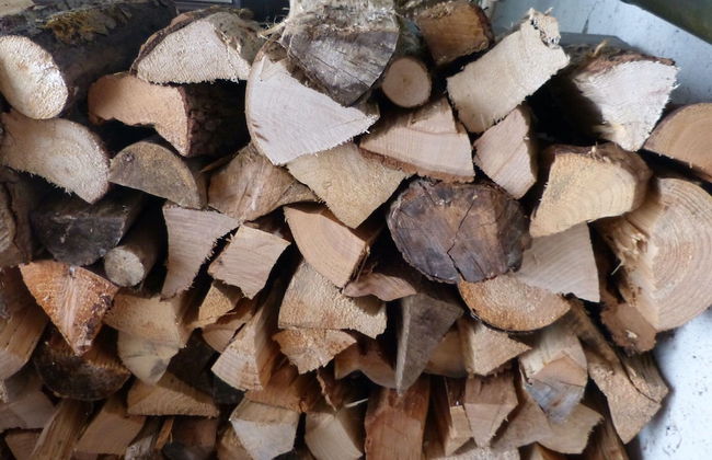 Wohnung in Zenting mit Garten - Foto 13