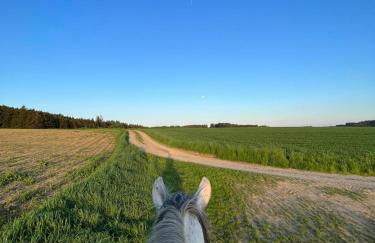 Pferdegut Falkenberg Ferienwohnung - Foto 7
