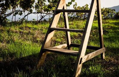 Finca Marañuela - Foto 6