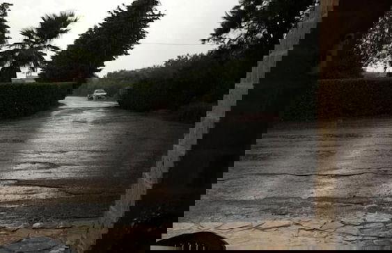 Tenuta Cavalieri - Foto 19