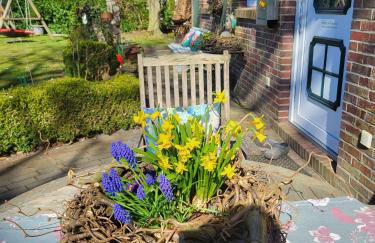 Ferienwohnungen Warnken - Foto 28